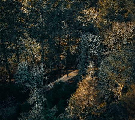 accompagnement communication combattant MMA