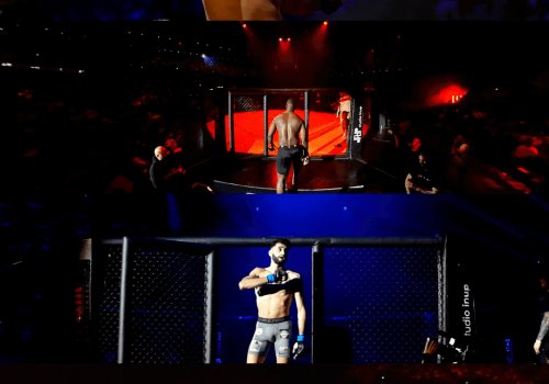 Couverture du Dynamite MMA 2