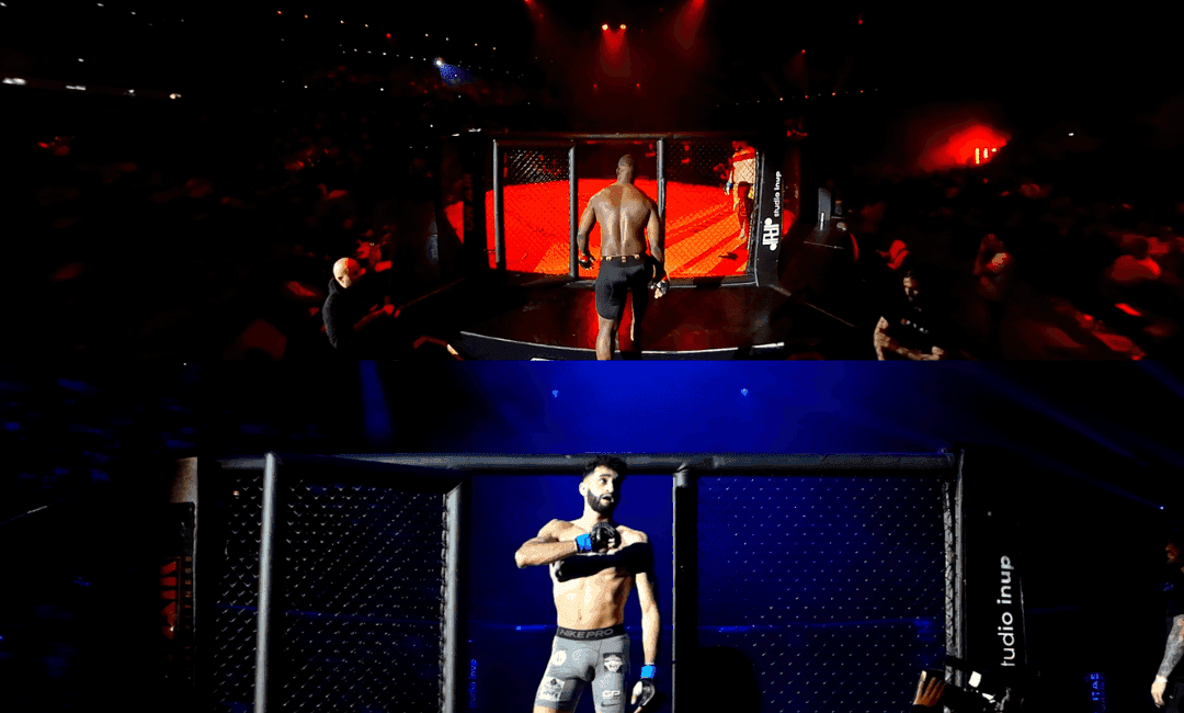 Couverture du Dynamite MMA 2