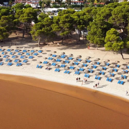 service-video-evenementiel-drone