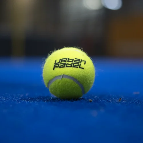 shooting photo networking entreprise (13)